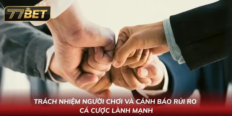 Bầu Cua 77BET: Hướng Dẫn Chơi Đỉnh Cao Từ Cao Thủ Lâu Năm Trách nhiệm bet thủ phải gánh vác khi tham gia