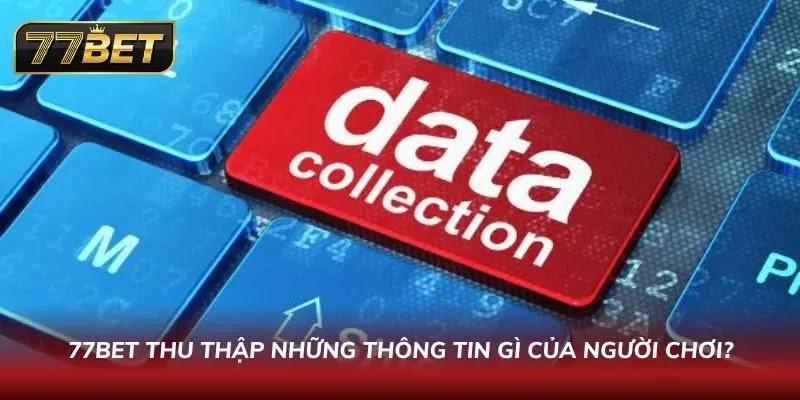 Chính Sách Bảo Mật 77BET – Bảo Vệ Dữ Liệu Tuyệt Đối 2026 Quá trình thu thập dữ liệu tại trang web